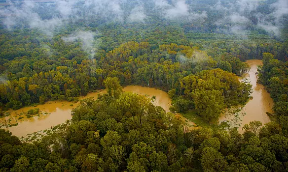 Litovelské Pomoraví je vnitrozemnskou deltou