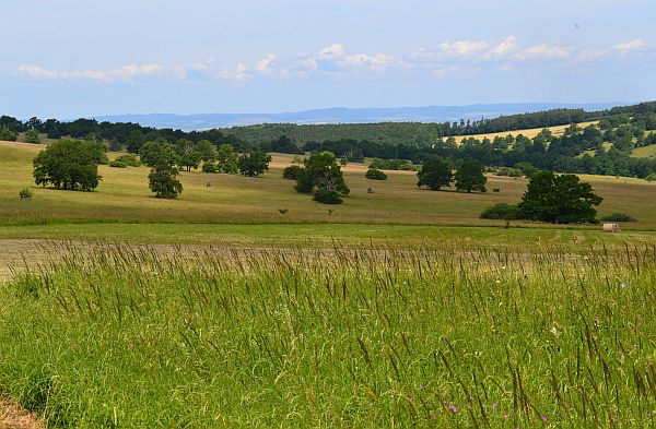 Mozaikovitá seč v krajině.