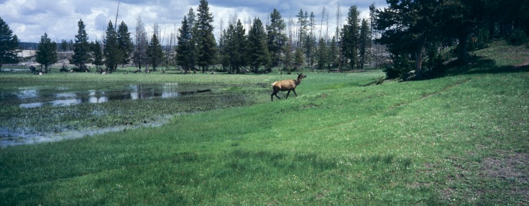Národní park Yellowstone