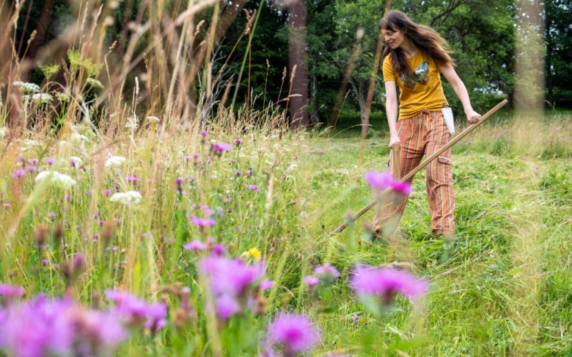 Manual mowing of meadows in the White Carpathians. Photo Jindřich Prach