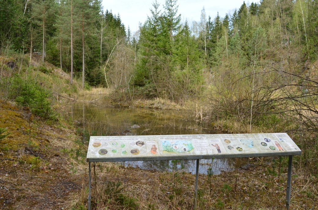 Tůňka v Jinošovském lomu.