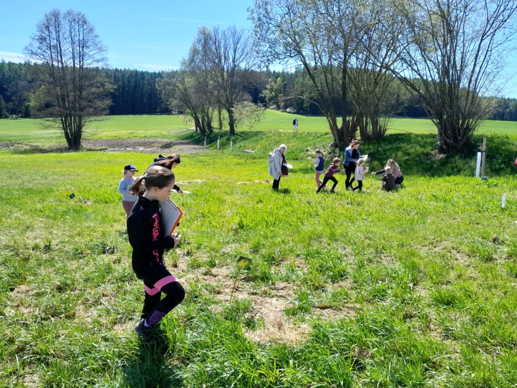 Děti na louce plní úkoly.