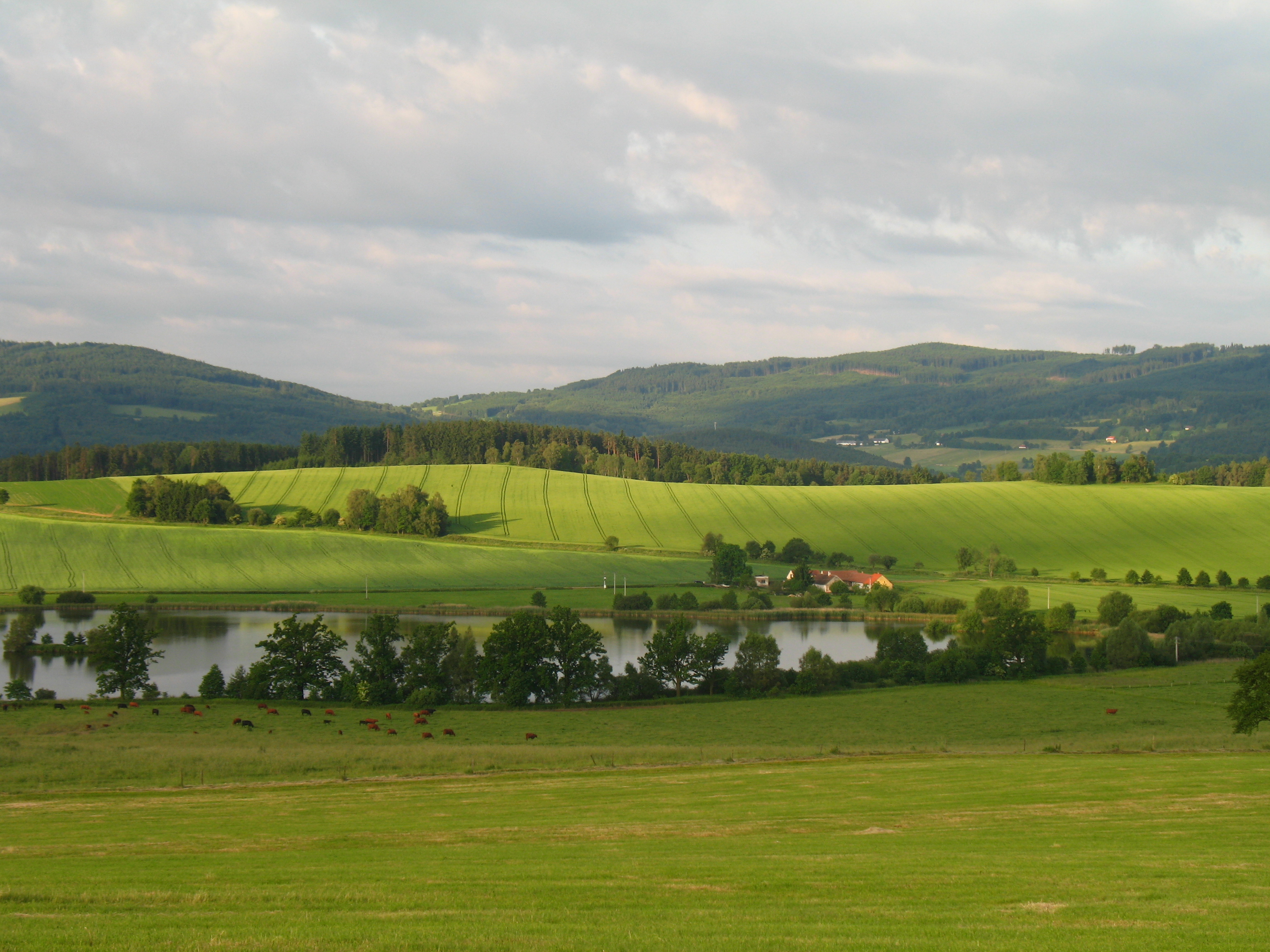 Křemežská kotlina, Tereza Rejnková