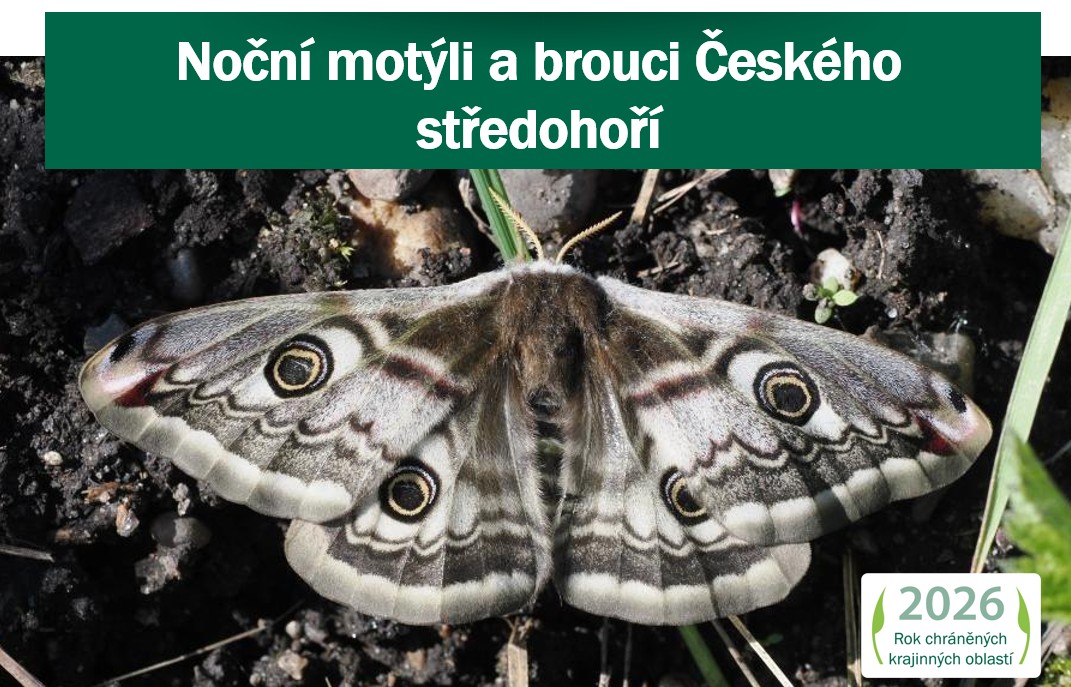 Noční motýli