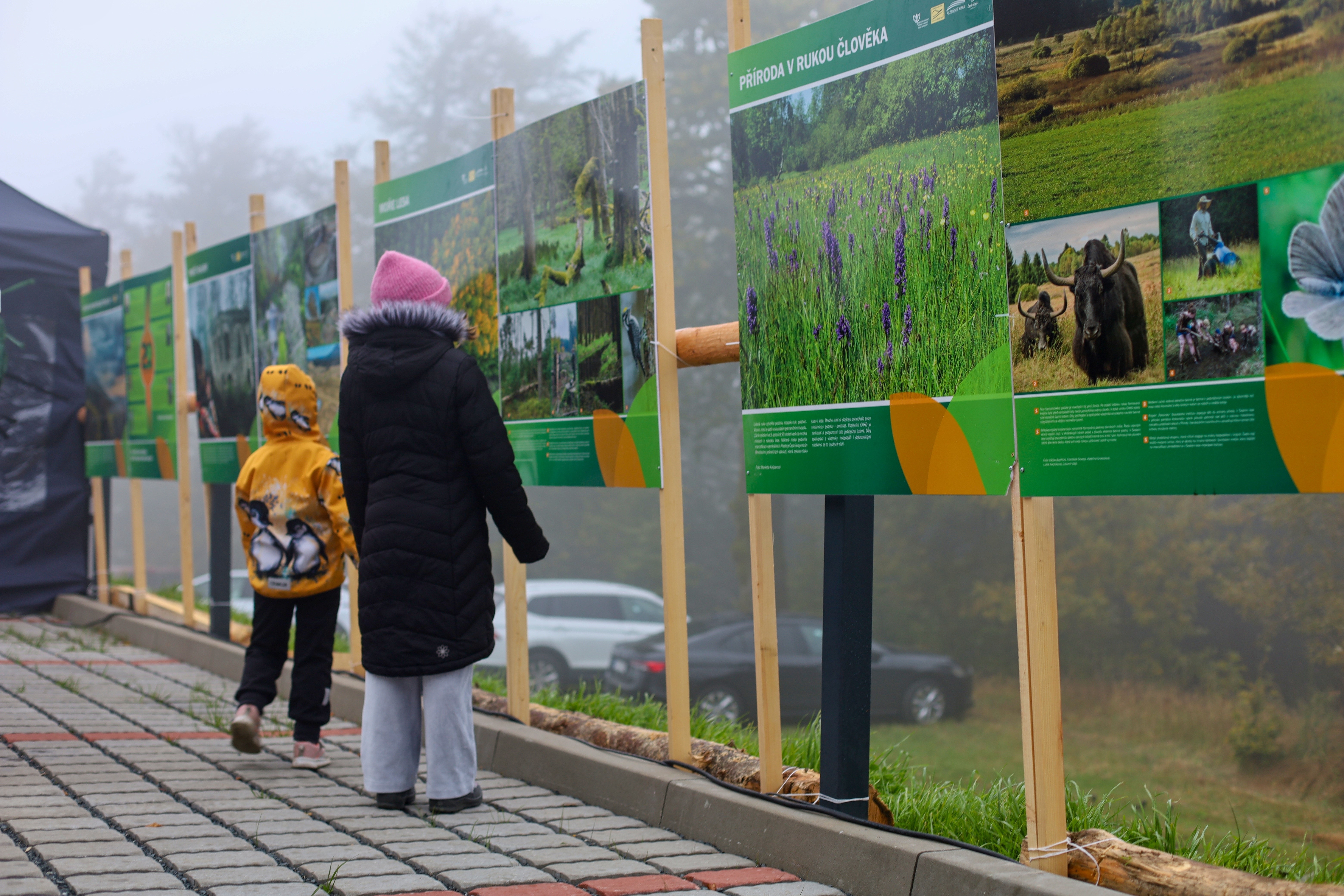 výstava k výročí 20 let CHKO Český les v mlze