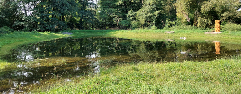 Pohled na nově vybudovaný mokřad v Malém Újezdu.