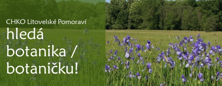 Inzerát na pozici botanik / botanička.